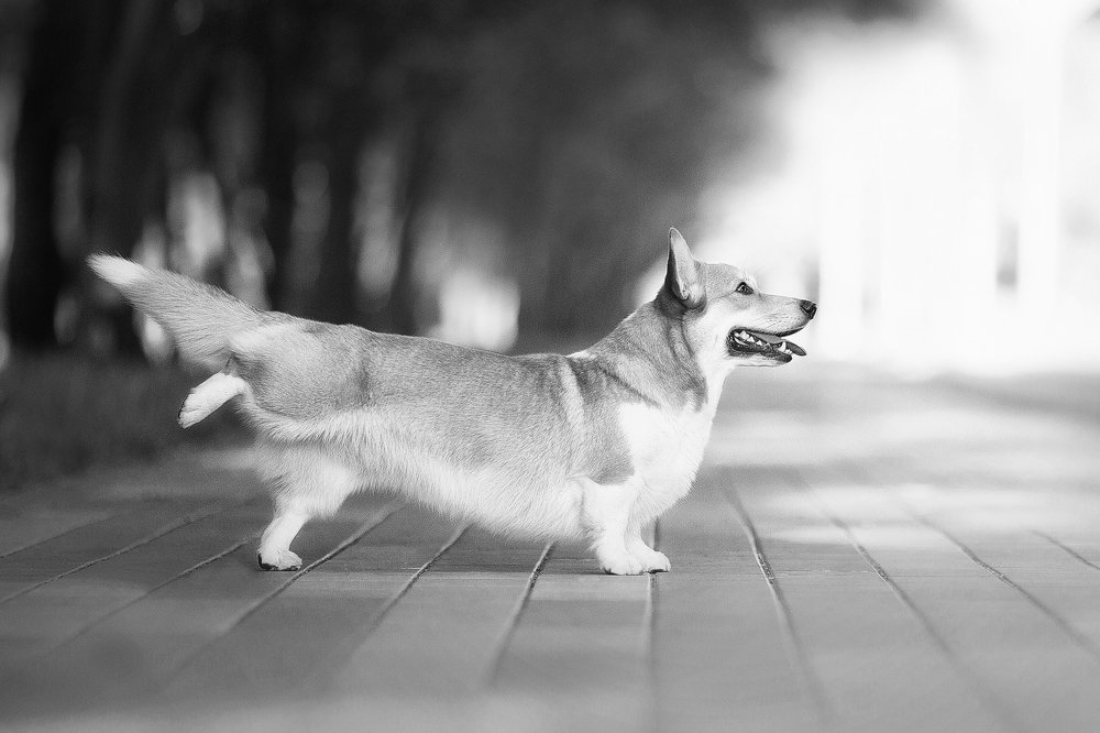 Фотография автора Sophie Kozlova