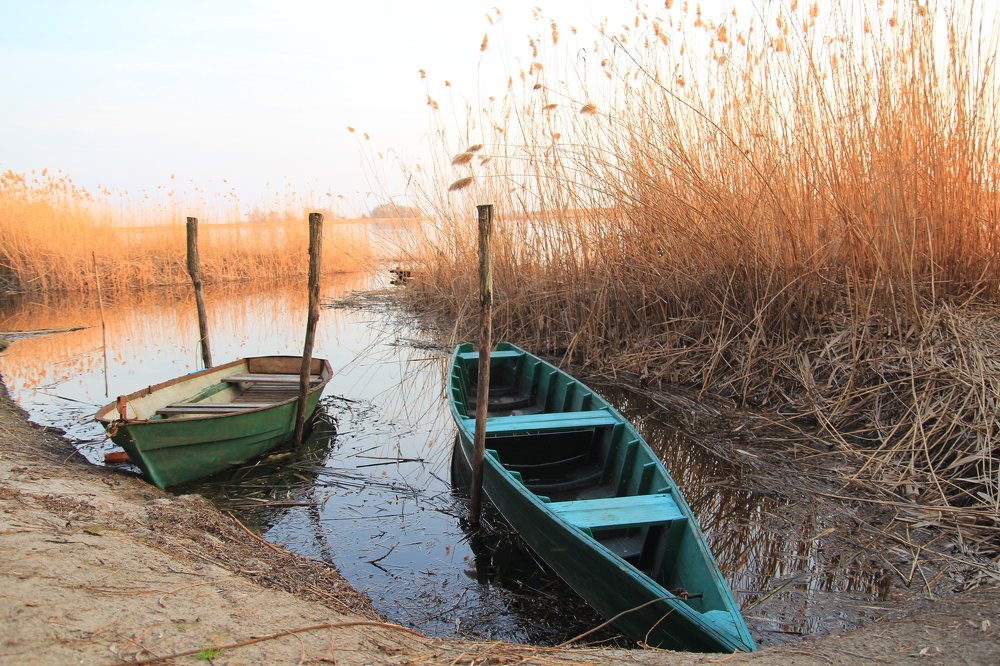 Photograph by Инга Крыжановская