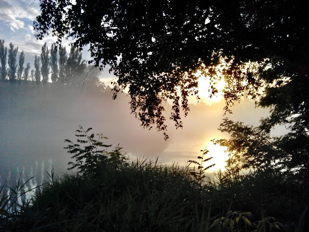 Photograph by Александр Арасланов