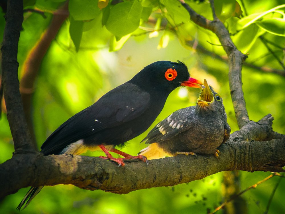 Photograph by Kirkamon Cabello