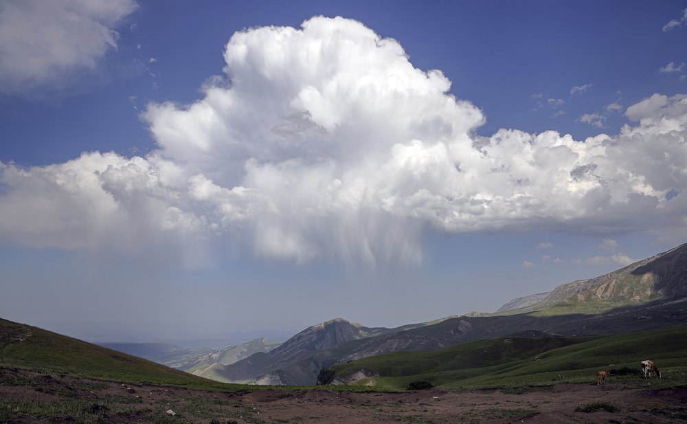 Photograph by KAMİL