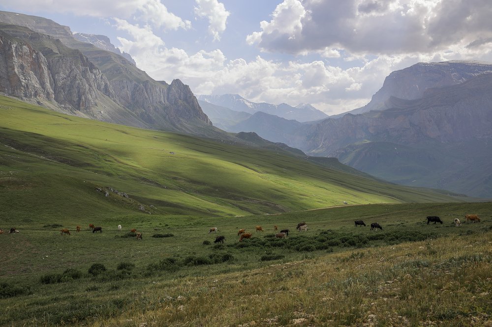 Photograph by KAMİL