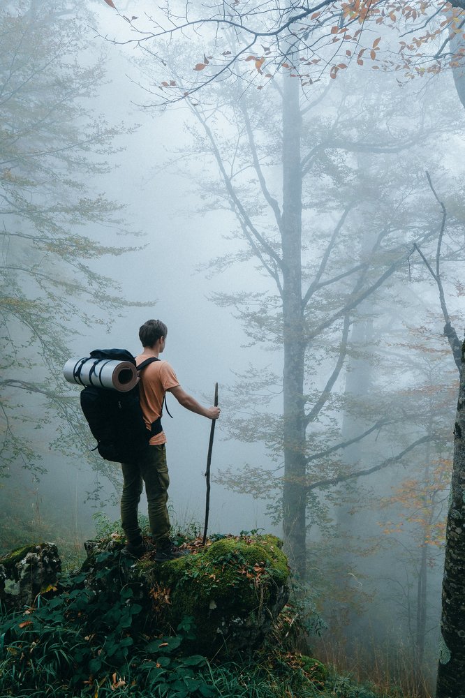 Photo #4709294