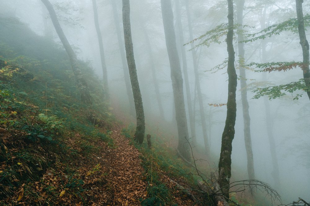 Photograph by Александр