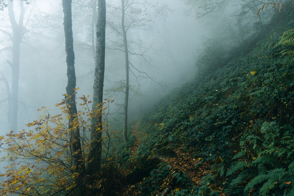 Photograph by Александр