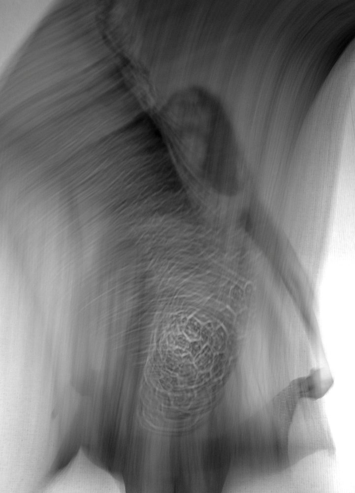 Photograph by Антон Лаба