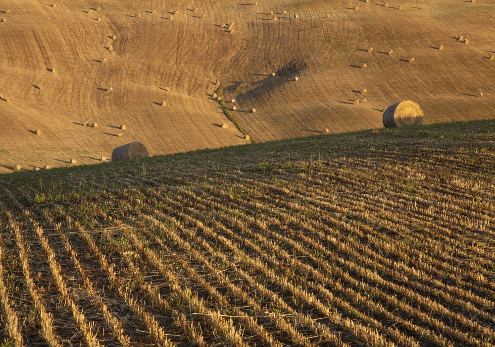 Фотография автора Christian Brogi