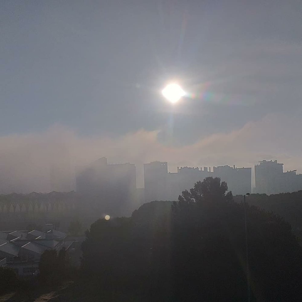 Photograph by Susana Lavos Pereira