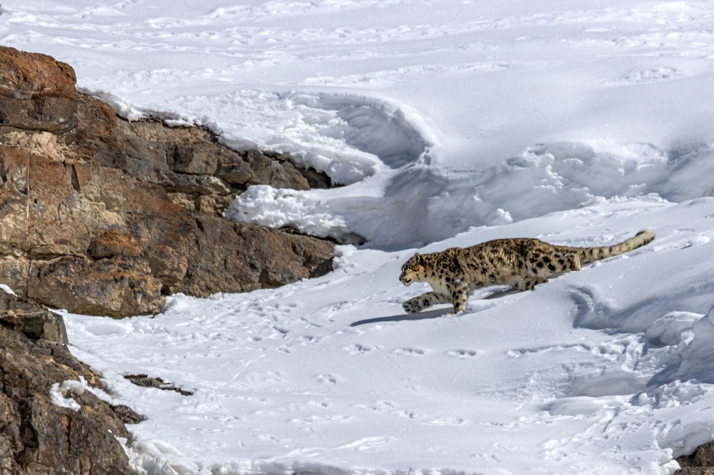 Фотография автора Ashok Behera