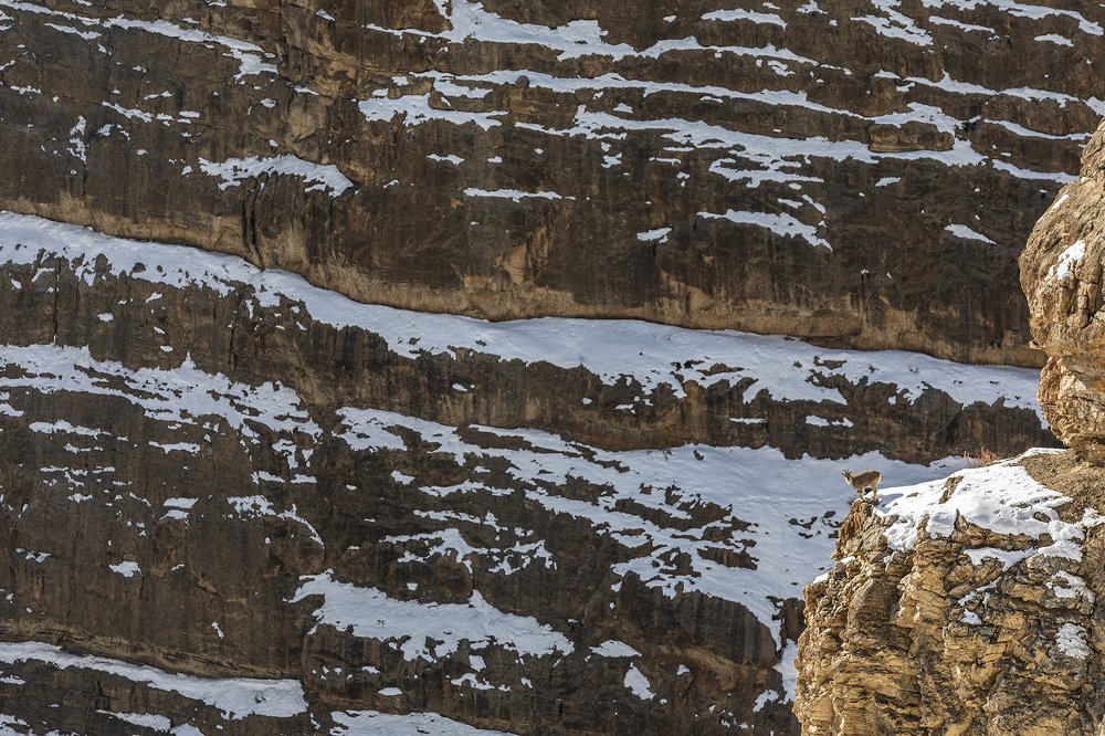 Фотография автора Ashok Behera