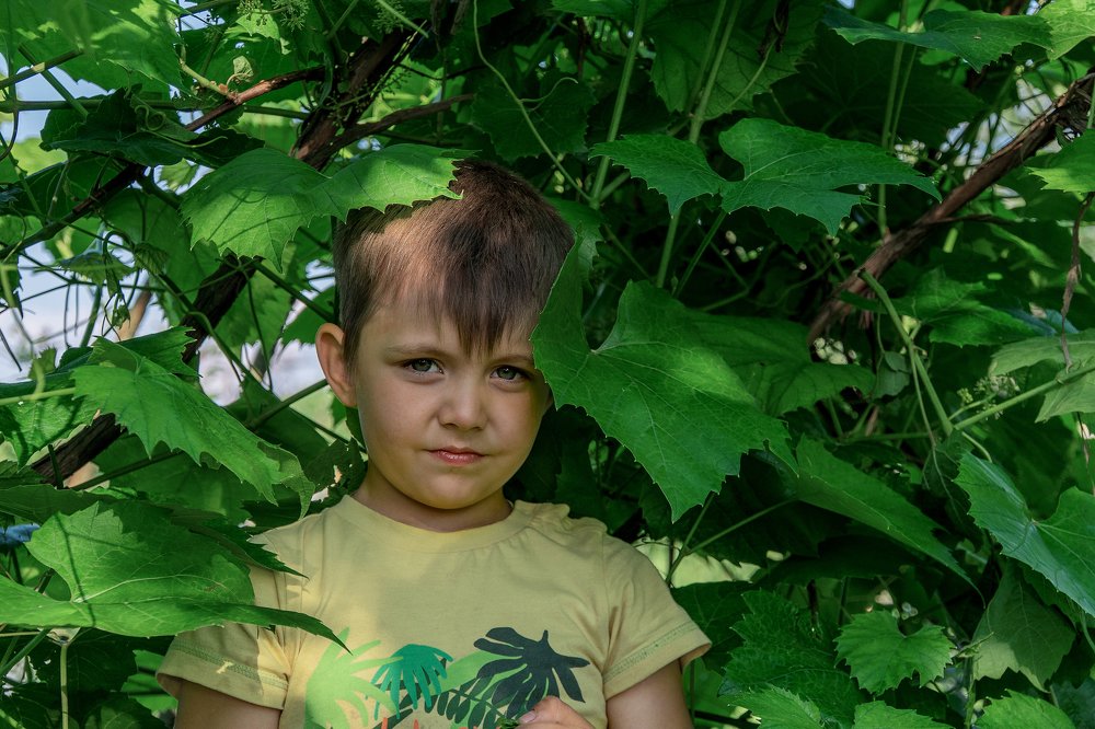 Photograph by Александр Фабер