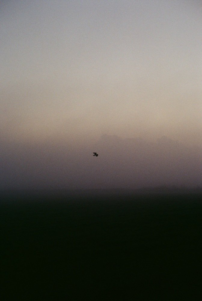 Photograph by Никита