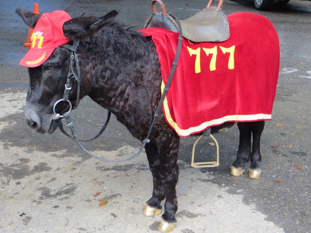 Photograph by Галина