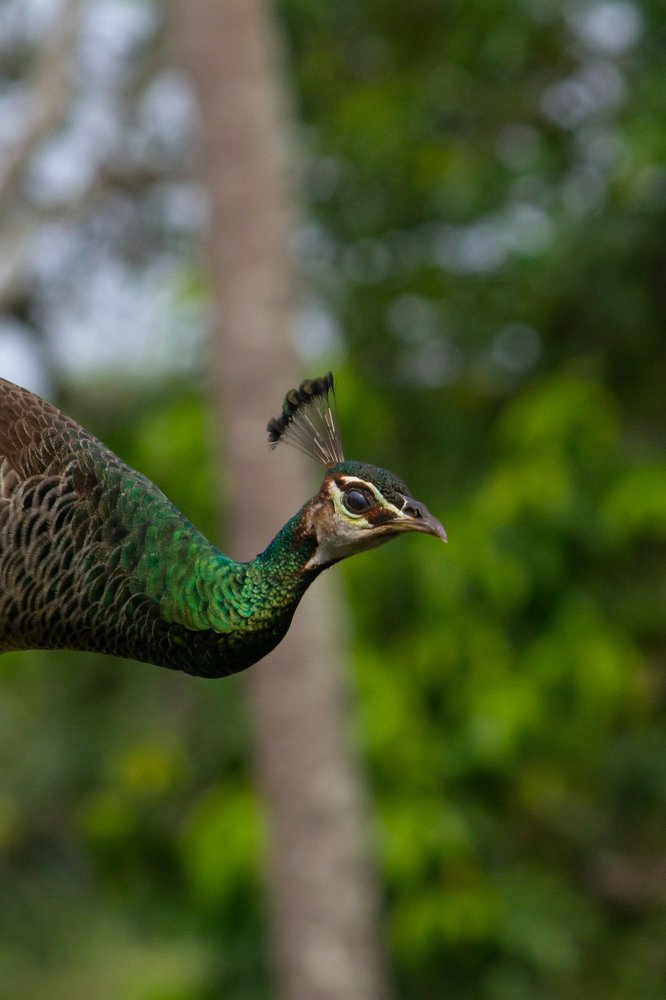 Photograph by Prasad Kn