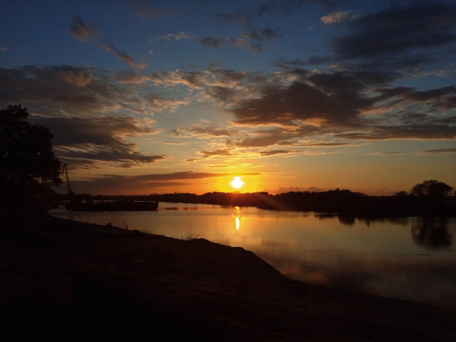 Photo #4709524