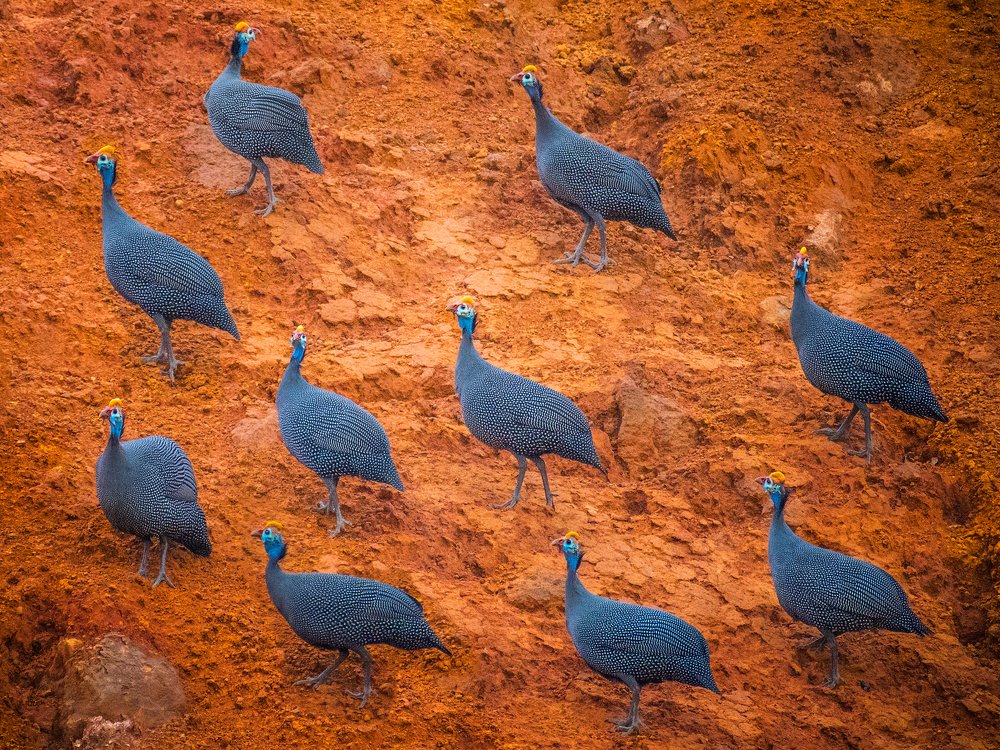 Photograph by Kirkamon Cabello