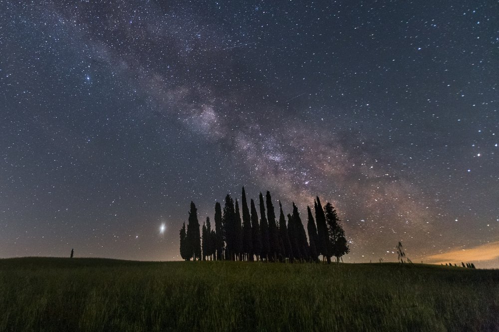 Photograph by Davide Borghi