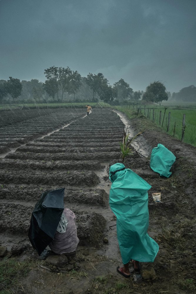 Photograph by devan devaraj