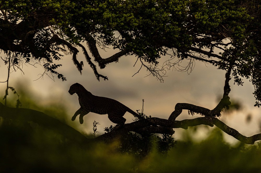 Photograph by Ashok Behera