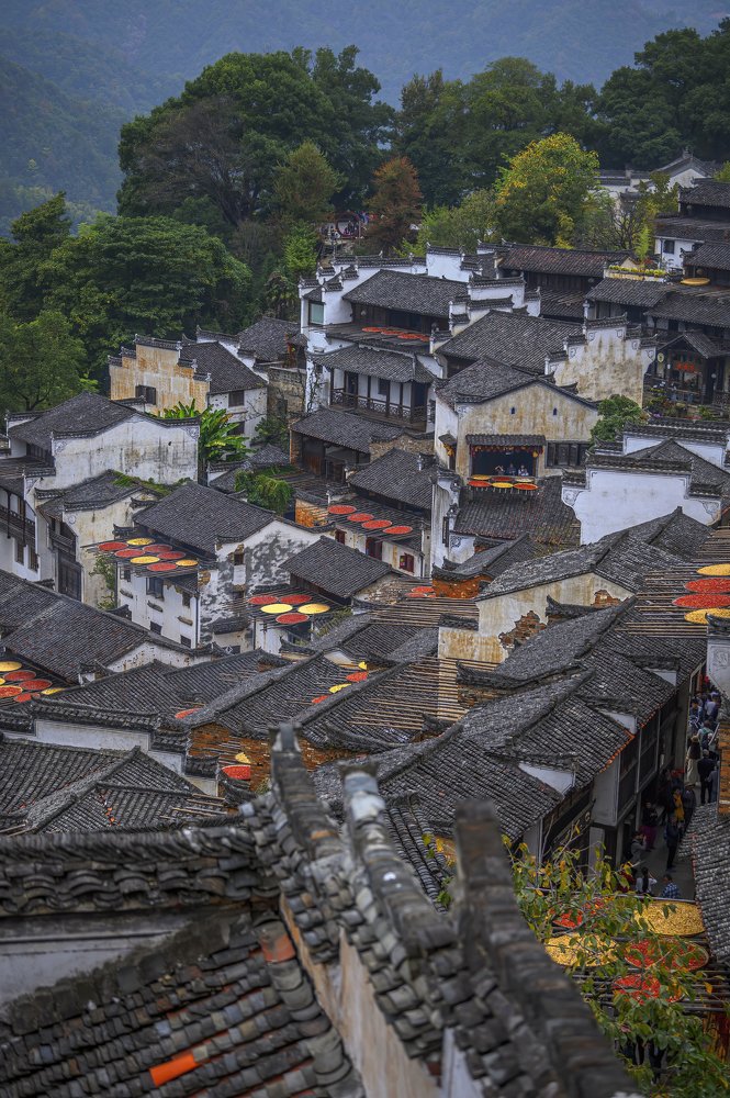 Photograph by THANH NGUYEN