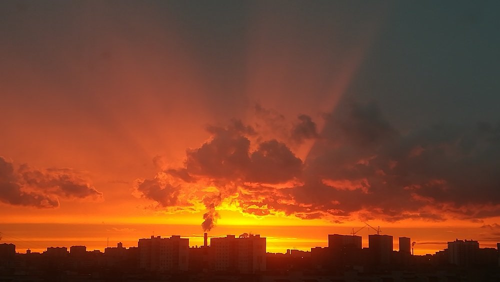 Photo #4709753