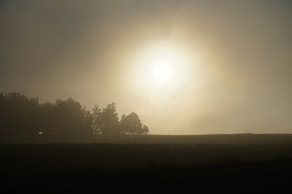 Photograph by Andreas Koff