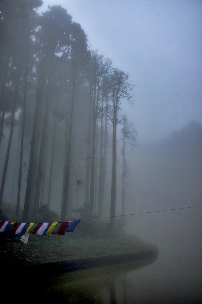 Photograph by animesh sen sarma