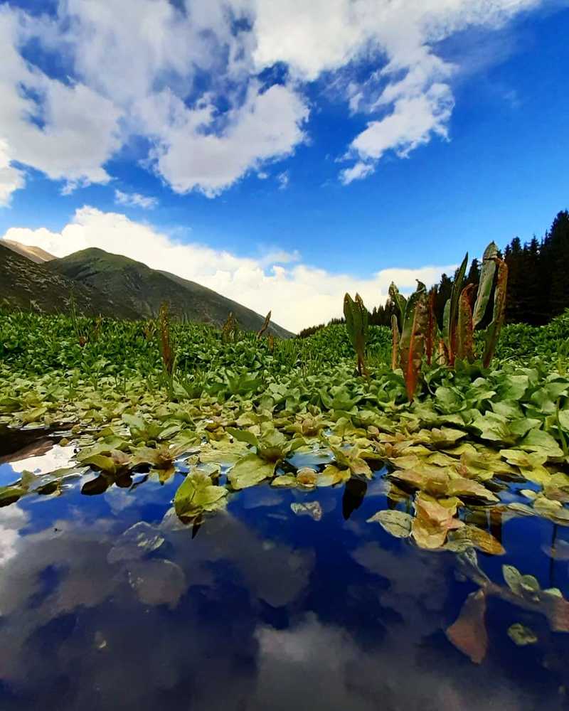 Photograph by Janara Kurmanbekova