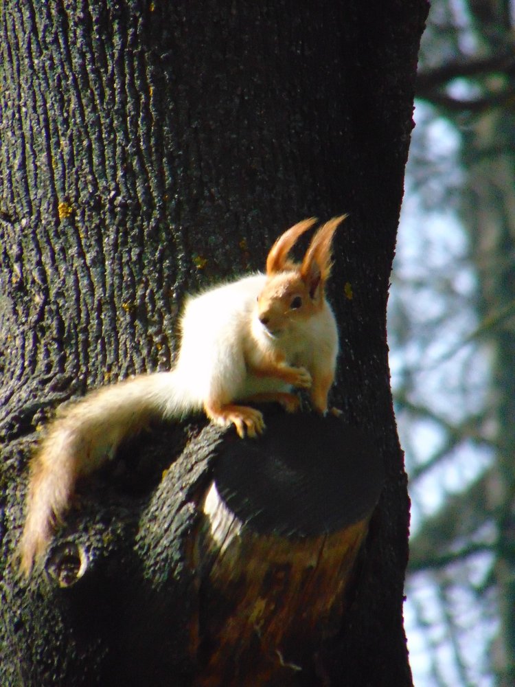 Photograph by Ольга Шевцова