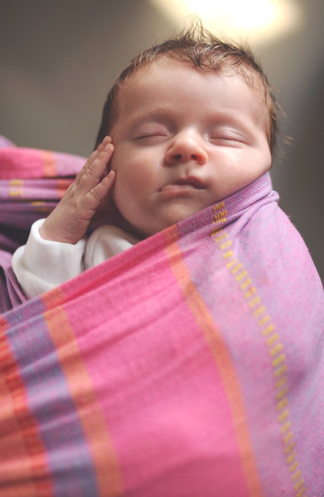 Photograph by Maja Sokolean