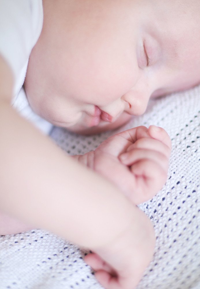 Photograph by Maja Sokolean