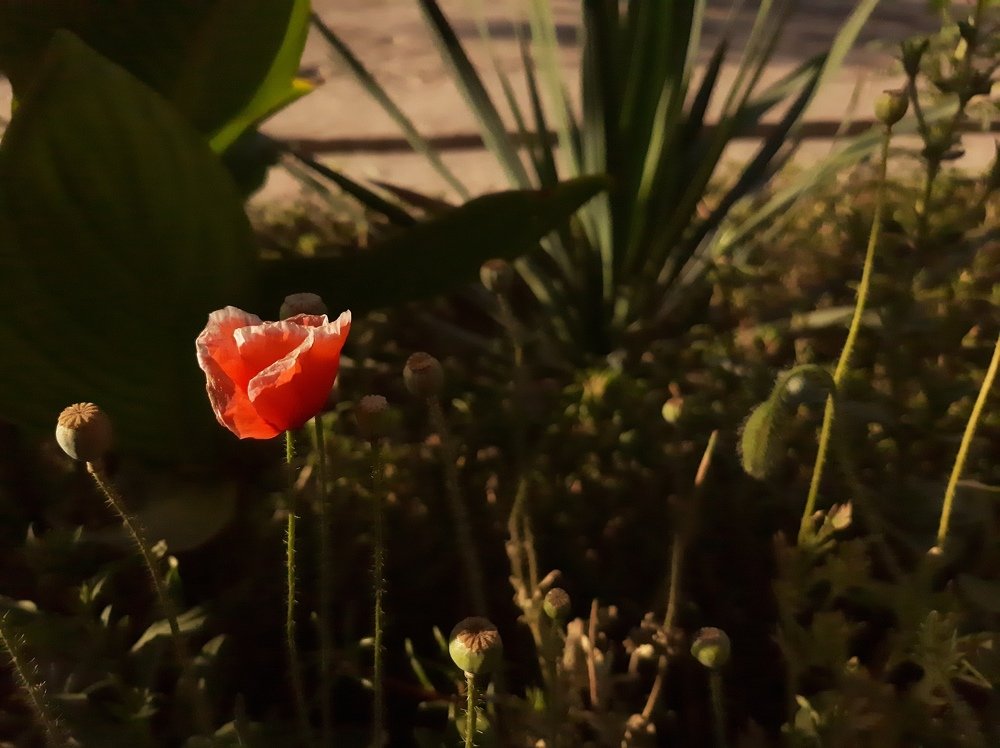 Photograph by Ислам Маткаримов