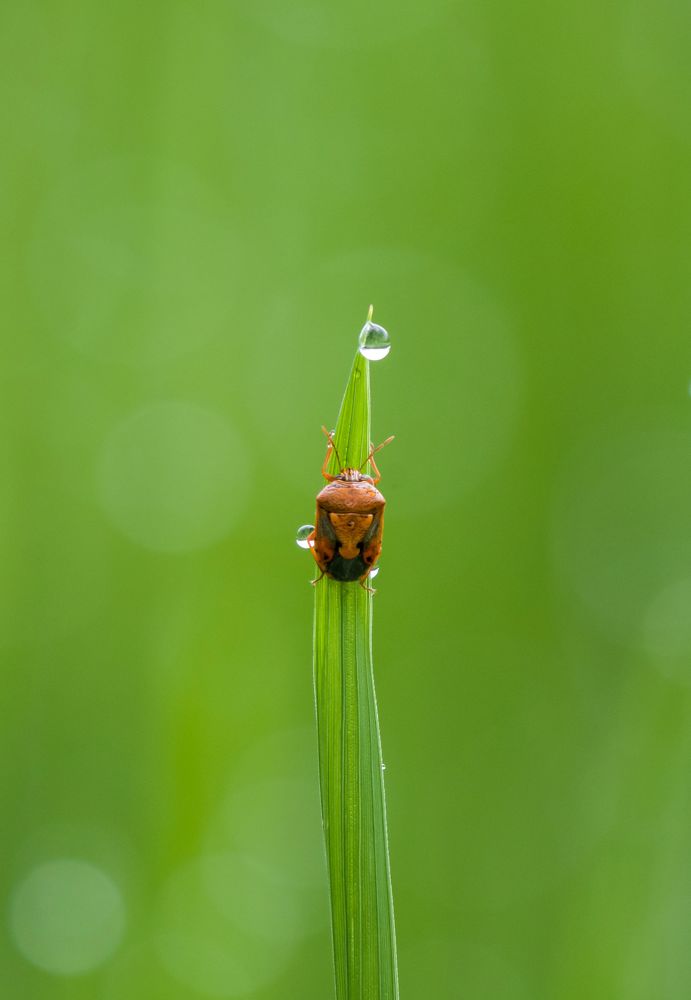 Photograph by Umesh Kumar PR