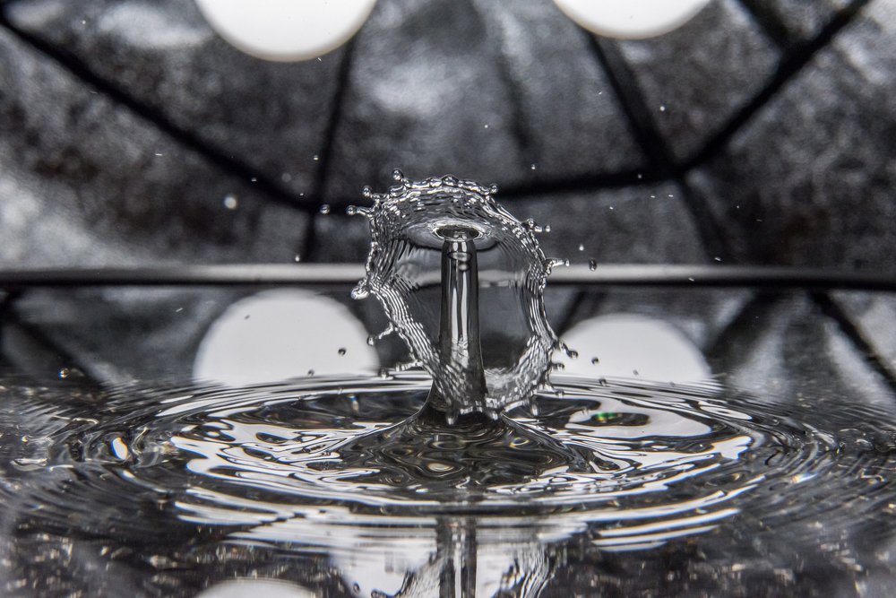 Photograph by Артем Полинин