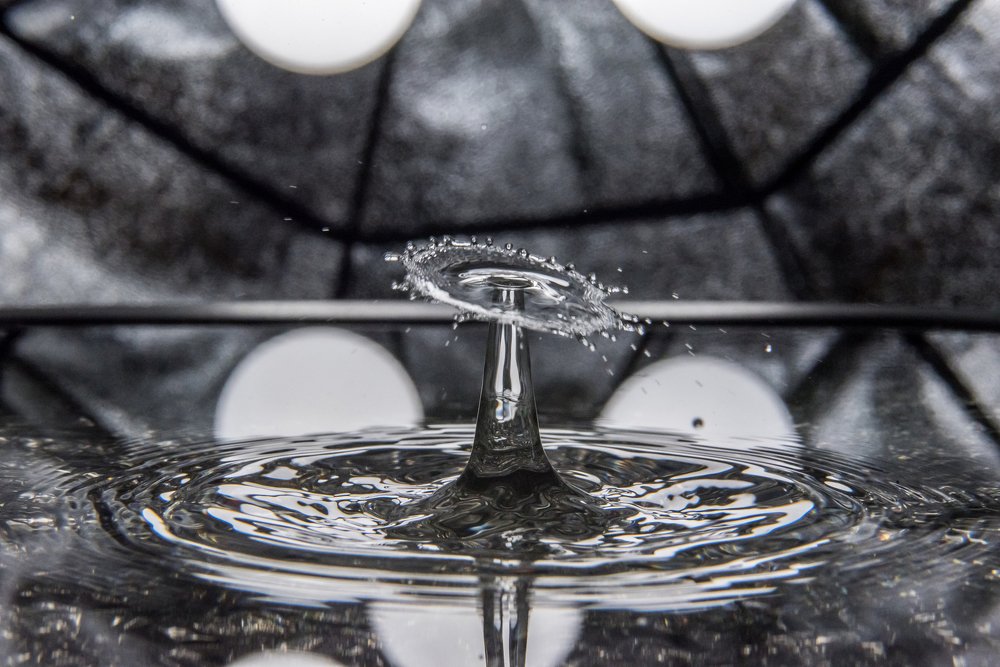 Photograph by Артем Полинин