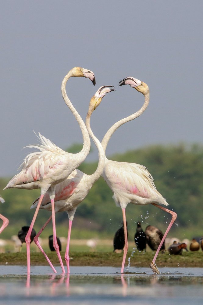 Photograph by Rajat Chordia