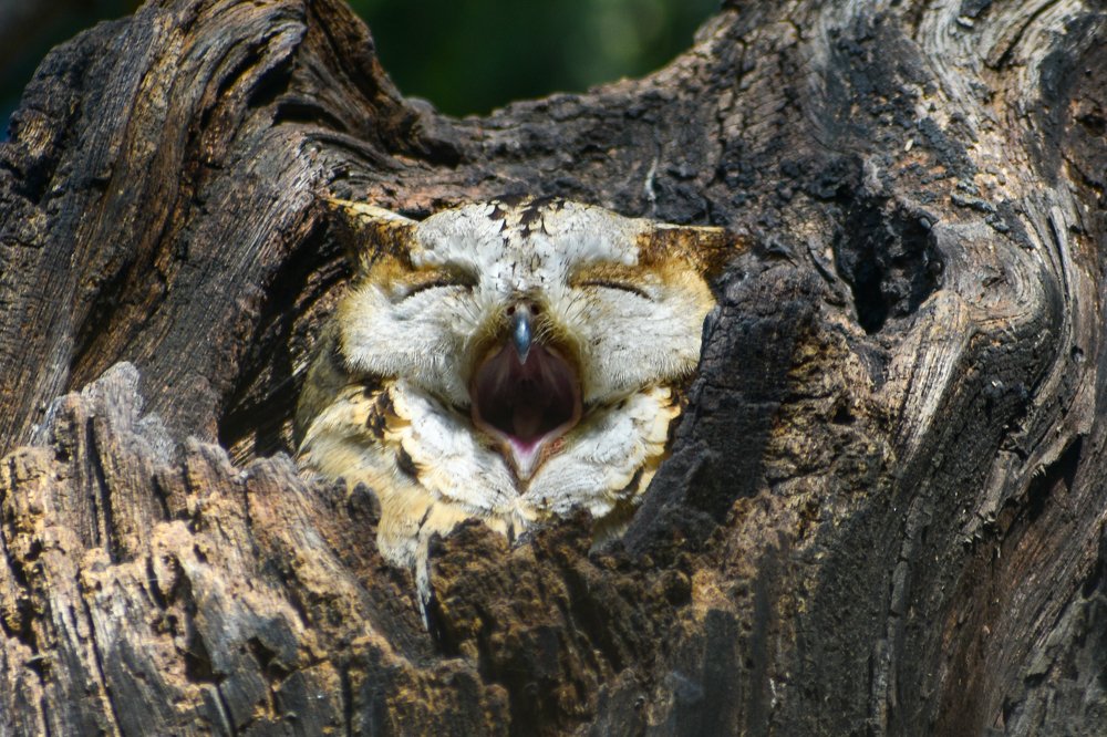 Photograph by Rajat Chordia