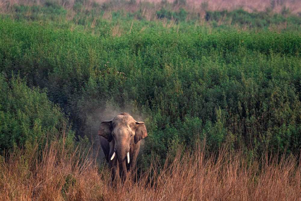 Photograph by Smita Behera