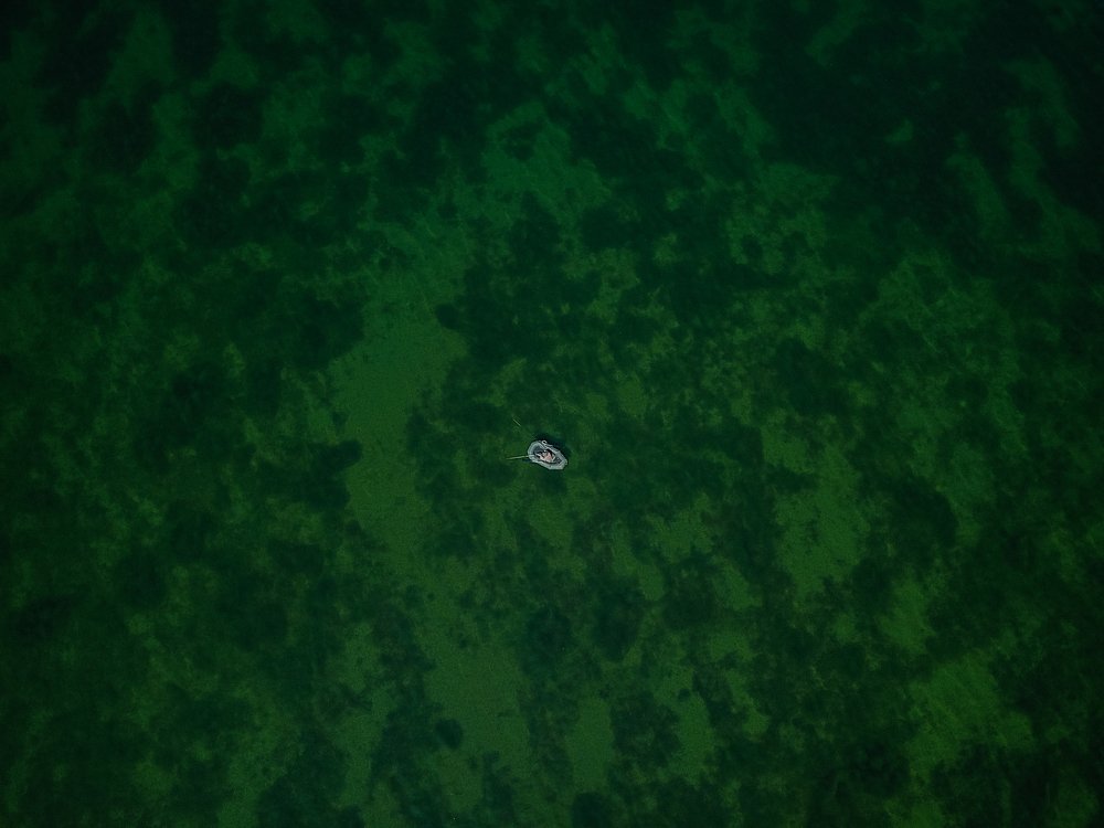 Photograph by Александра Азарнова