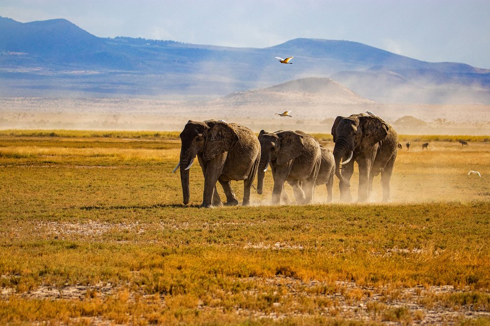 Photograph by Smita Behera