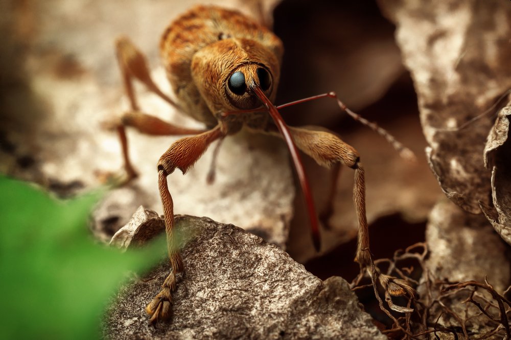 Photograph by Роман Фадеев