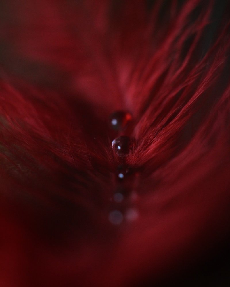 Photograph by Ирина Иванова