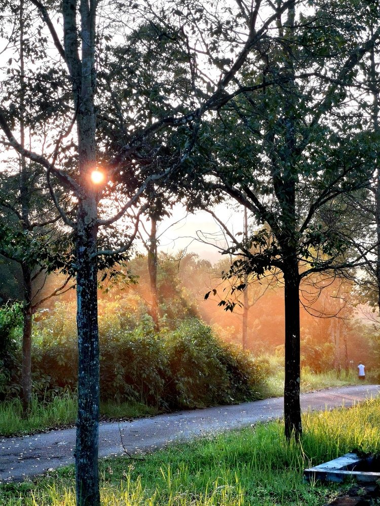 Photograph by Chunhou Poon