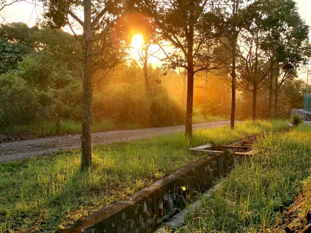 Beautiful sunshine in foggy mrning