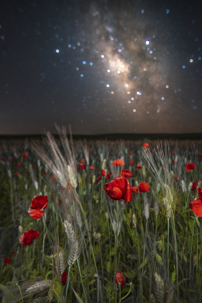 Photograph by Wail Hmd