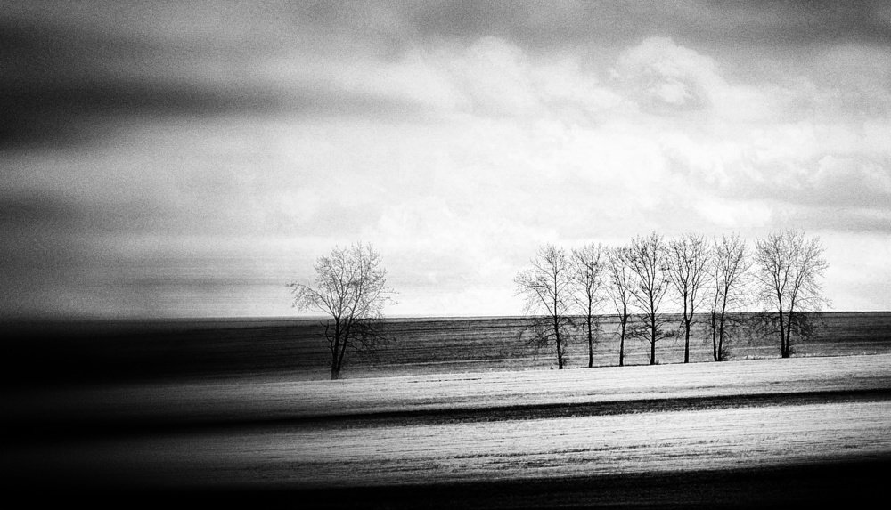 Photograph by Magdalena Kolenicova