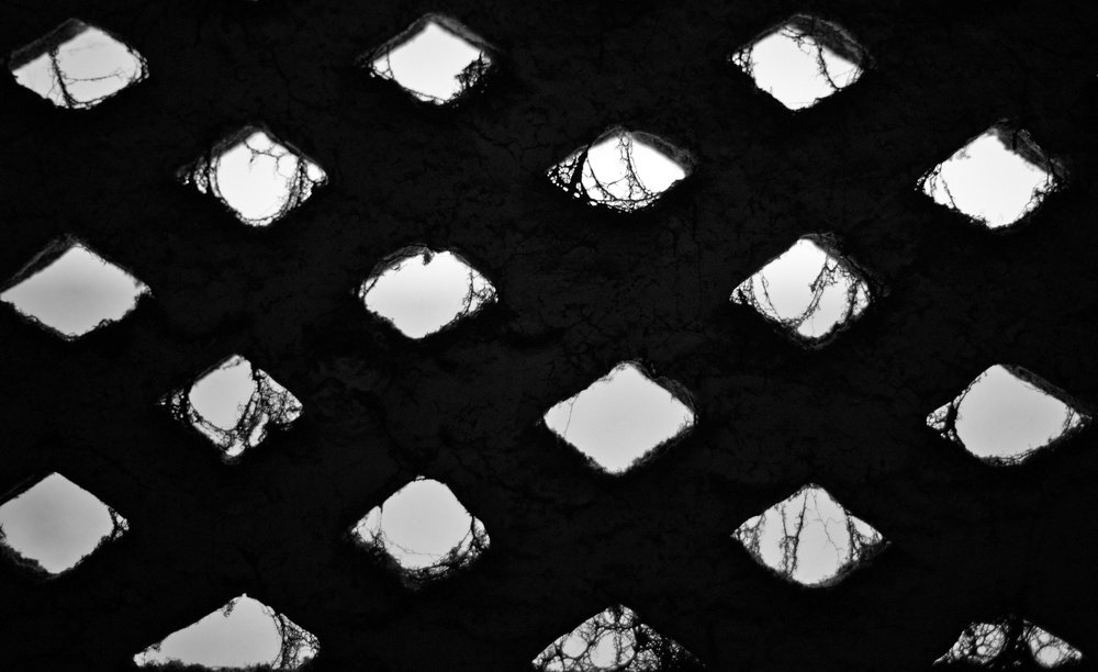 Photograph by Soumen Chowdhury