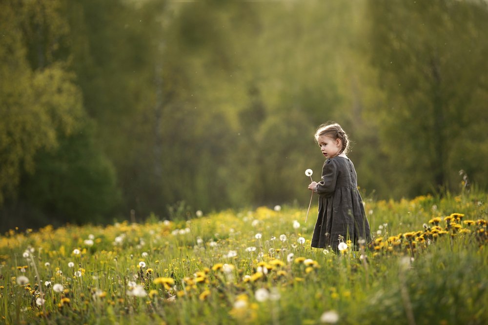 Девочка и одуванчики