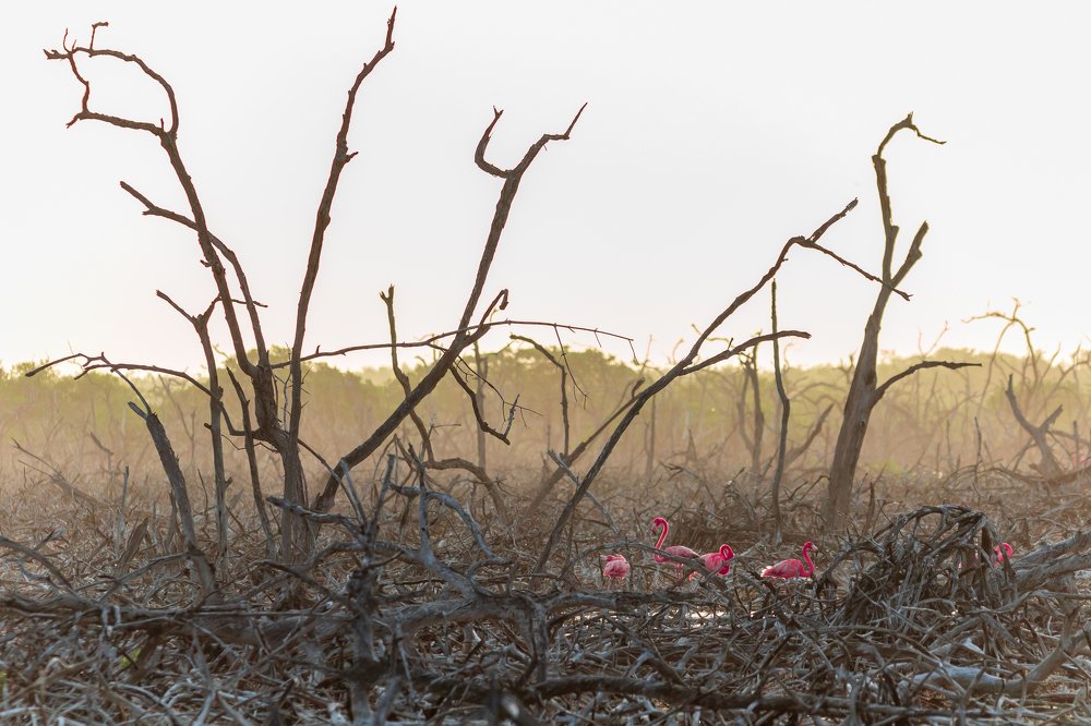 Photograph by Miguel Diaz