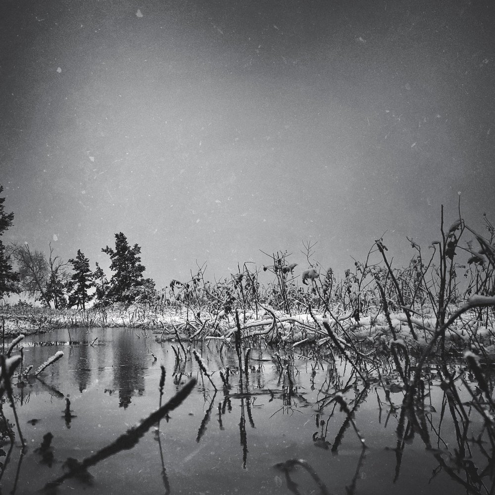 Photograph by Ilyas Adilbayev